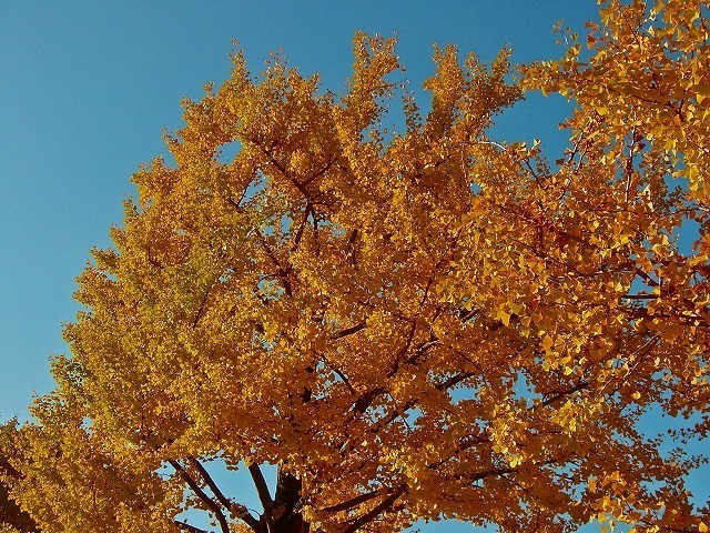 DSC01592 edit01.jpg