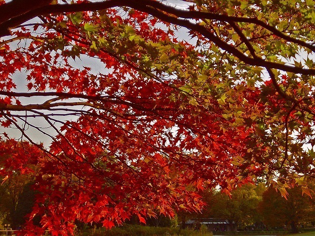 DSC01644 edit01.jpg