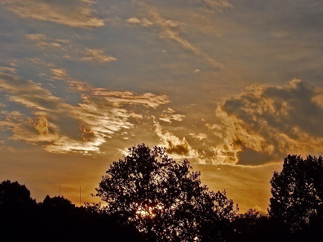 DSC01671 edit01.jpg