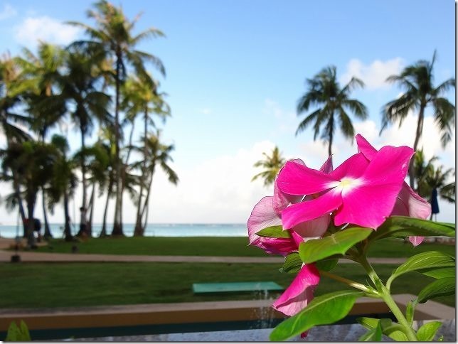 FIESTA RESORT GUAM FIESTA RESORT GUAM