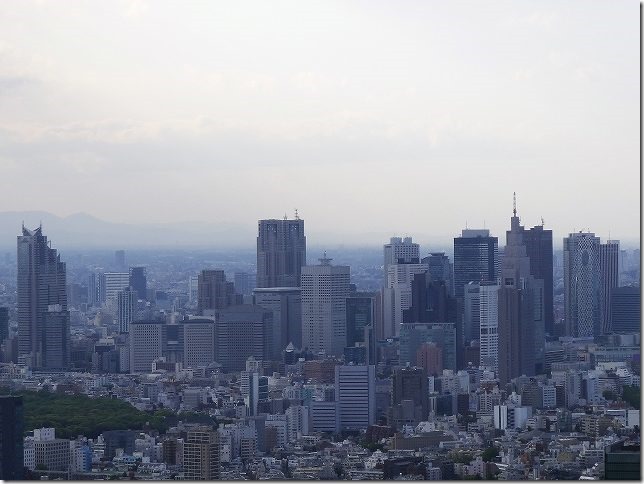 六本木ヒルズから新宿方面の風景