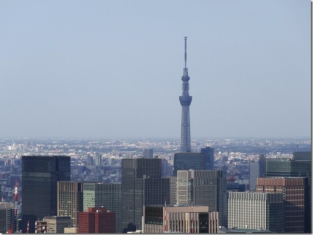 六本木ヒルズから東京スカイツリー
