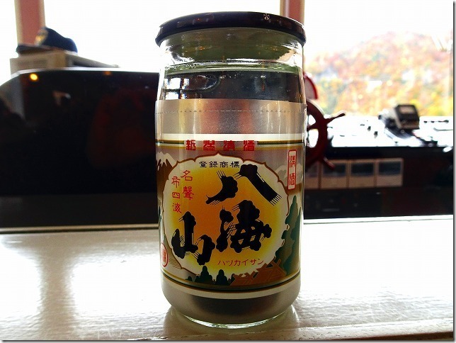 奥只見遊覧船