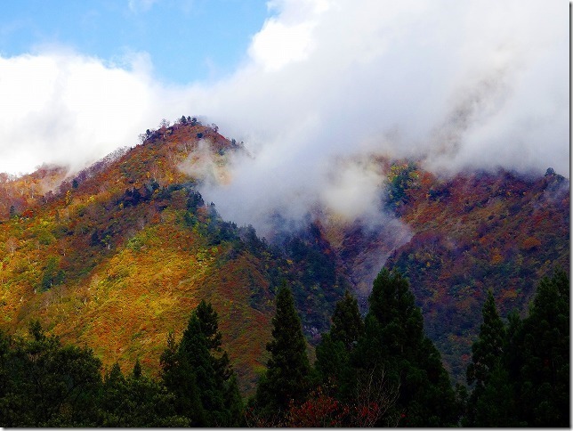 八海山ロープウェー　山麓駅　紅葉