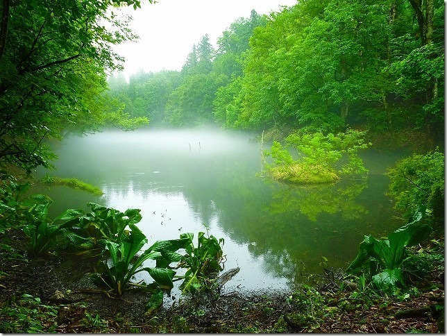 龍ヶ窪 　新潟県 中魚沼郡 津南町