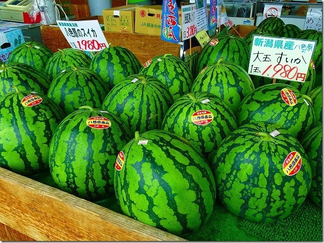 新潟　八色スイカ