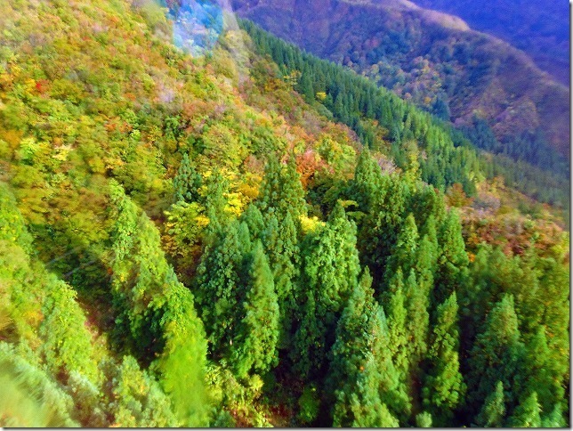 八海山　紅葉
