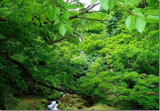 湯沢不動滝(新潟県 湯沢町) 湯沢不動滝(新潟県 湯沢町)