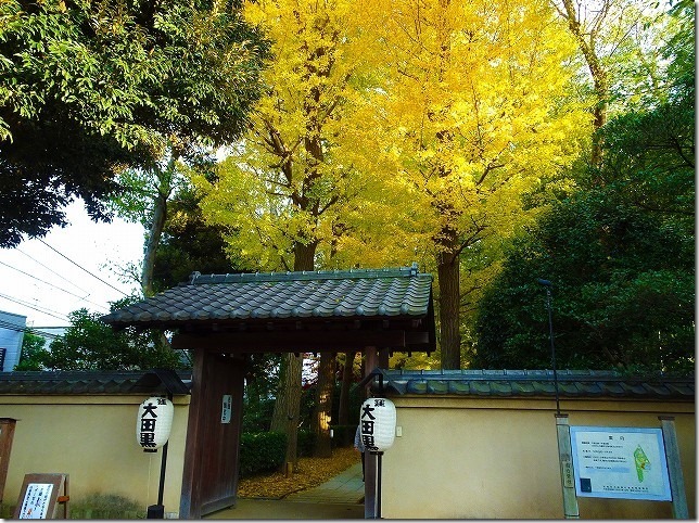 太田黒（おおたぐろ）公園　紅葉　 東京都 杉並区