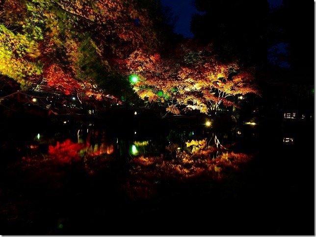 太田黒（おおたぐろ）公園　紅葉　 東京都 杉並区