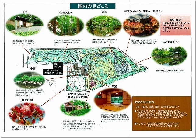 太田黒（おおたぐろ）公園　紅葉　 東京都 杉並区