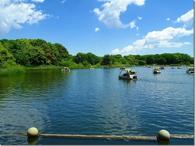 国営　昭和記念公園