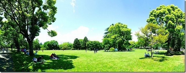 国営　昭和記念公園