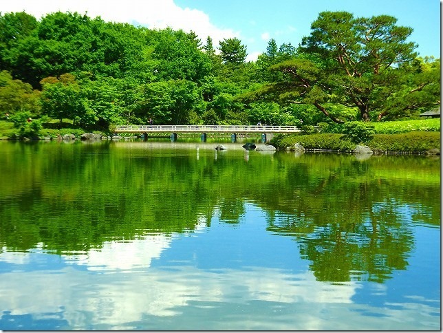 国営　昭和記念公園