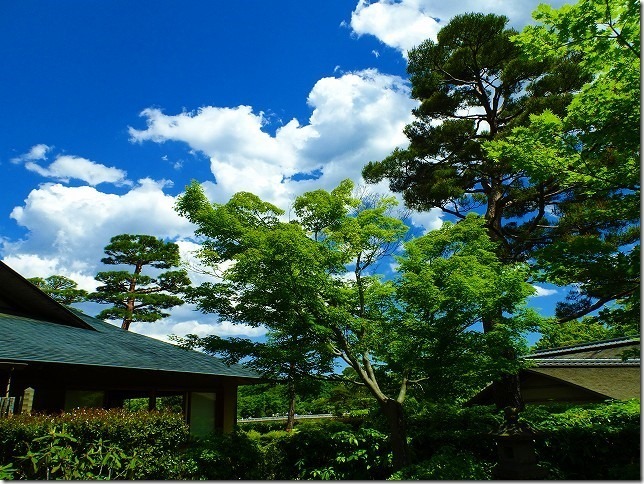 国営　昭和記念公園