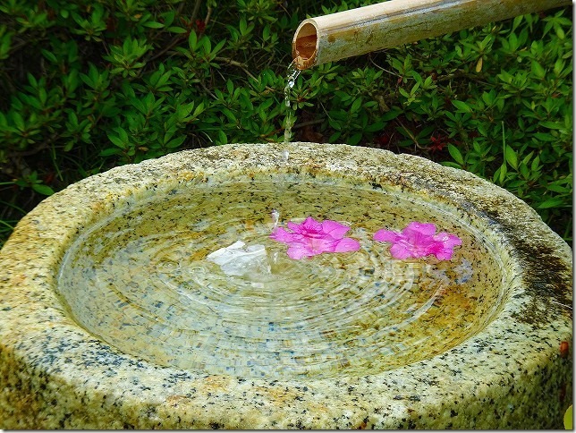 国営　昭和記念公園