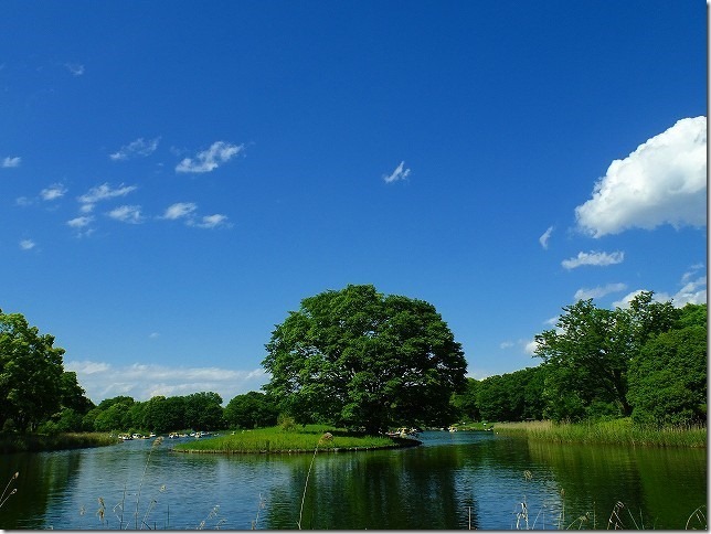 昭和記念公園