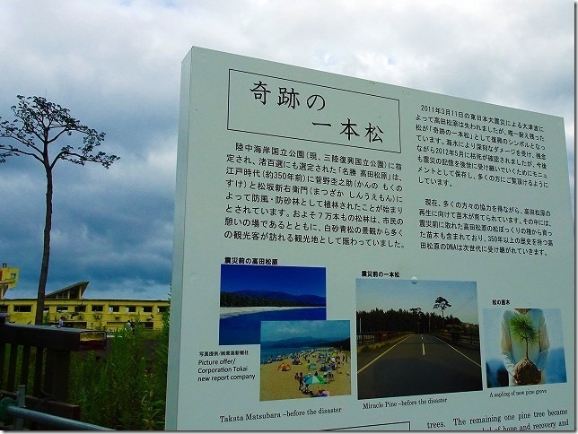 奇跡の一本松（岩手県 陸前高田市）