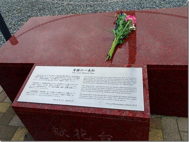 奇跡の一本松（岩手県 陸前高田市）