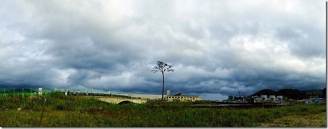 奇跡の一本松（岩手県 陸前高田市）