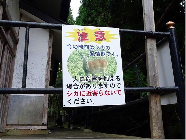 金華山 黄金山神社（宮城県 石巻市）