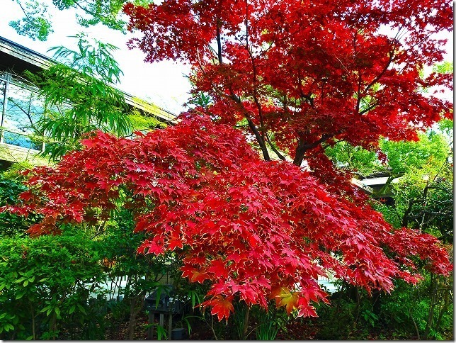 報徳二宮神社 (神奈川県 小田原市）