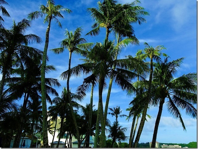 FIESTA （フィエスタ）RESORT GUAM 