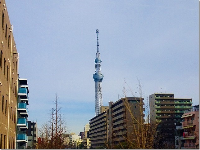 東京スカイツリー