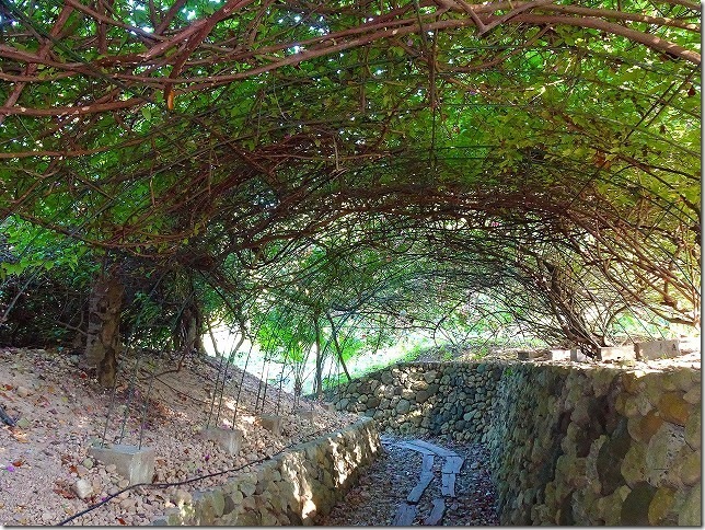 プルクラ セブ（PULCHRA CEBU）フィリピン