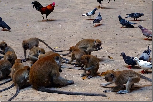 バトゥ洞窟(Batu Caves) マレーシア バトゥ洞窟(Batu Caves) マレーシア