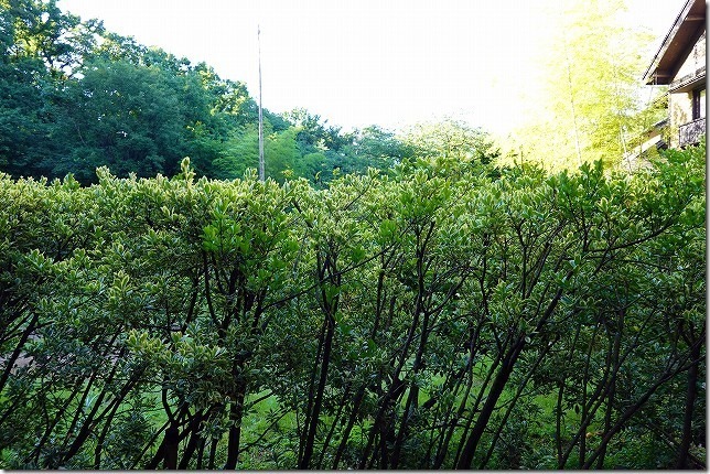 八幡野温泉郷 杜の湯 きらの里（静岡県 伊東市）