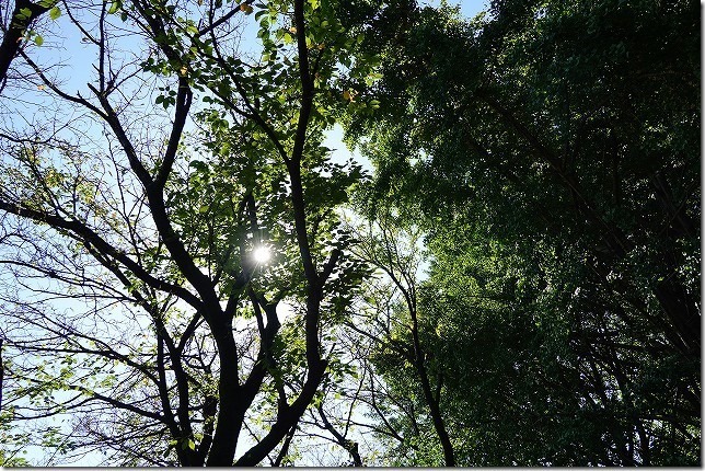 善福寺川緑地（東京都 杉並区）