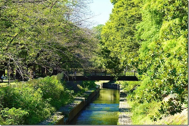 善福寺川緑地（東京都 杉並区）