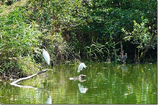 DSC00577 e01