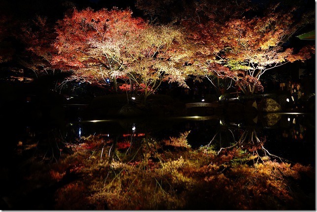 太田黒（おおたぐろ）公園（東京都 杉並区）紅葉