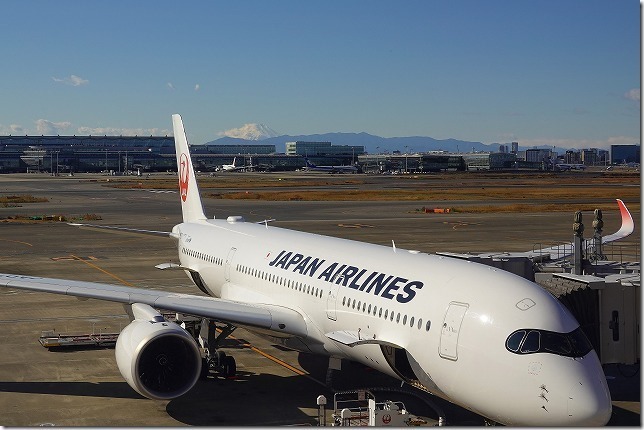 羽田空港(東京都 大田区) 羽田空港(東京都 大田区)