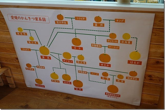 みきゃなんパーク(愛媛県 松山市) みきゃなんパーク(愛媛県 松山市)