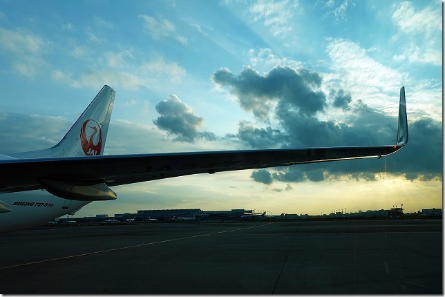 羽田空港(東京都 大田区) 羽田空港(東京都 大田区)