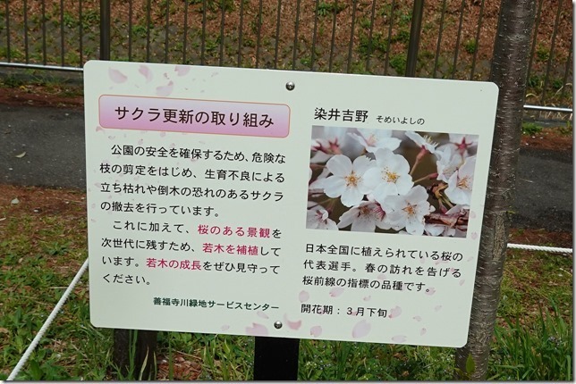 善福寺川緑地（東京都 杉並区）