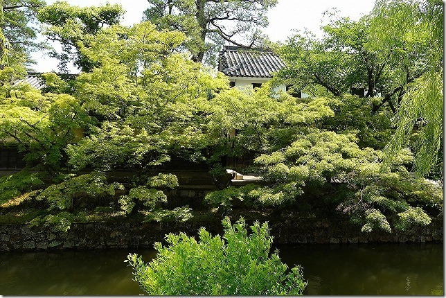 倉敷美観地区(岡山県 倉敷市) 倉敷美観地区(岡山県 倉敷市)