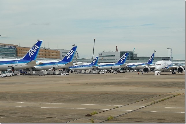 プレミアムクラス　羽田空港（東京都 大田区）　