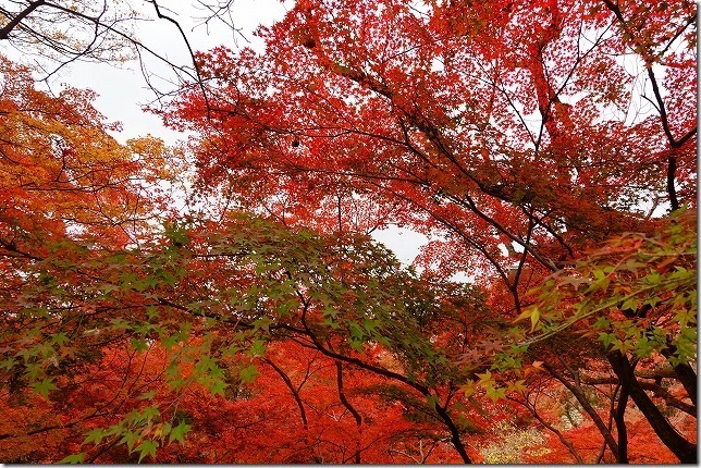 清水寺（京都府 京都市 東山区）