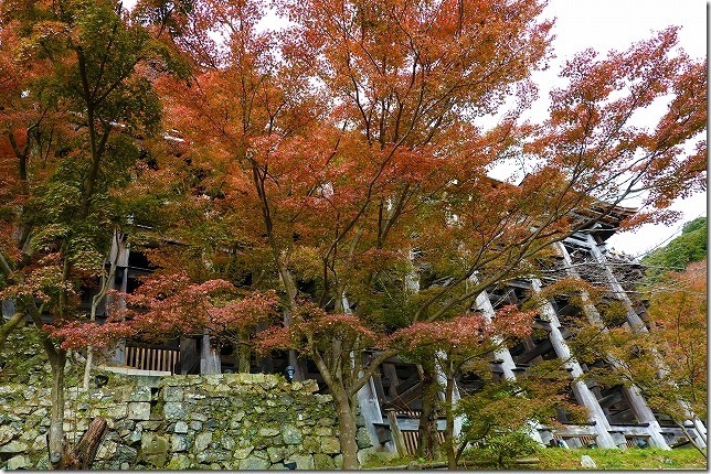 清水寺（京都府 京都市 東山区）