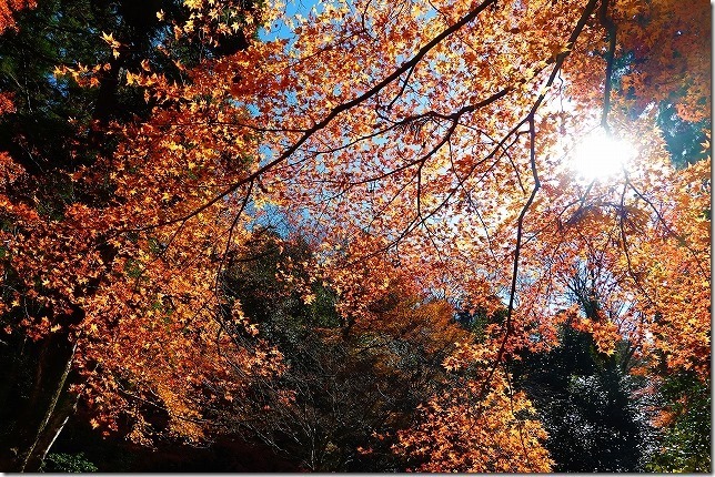 百済寺（ひゃくさいじ） (滋賀県 東近江市）